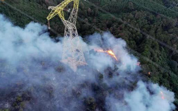 一体化机芯网络