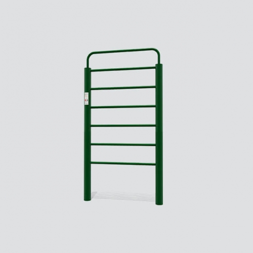 FE40 Verticl Ladder For Playground