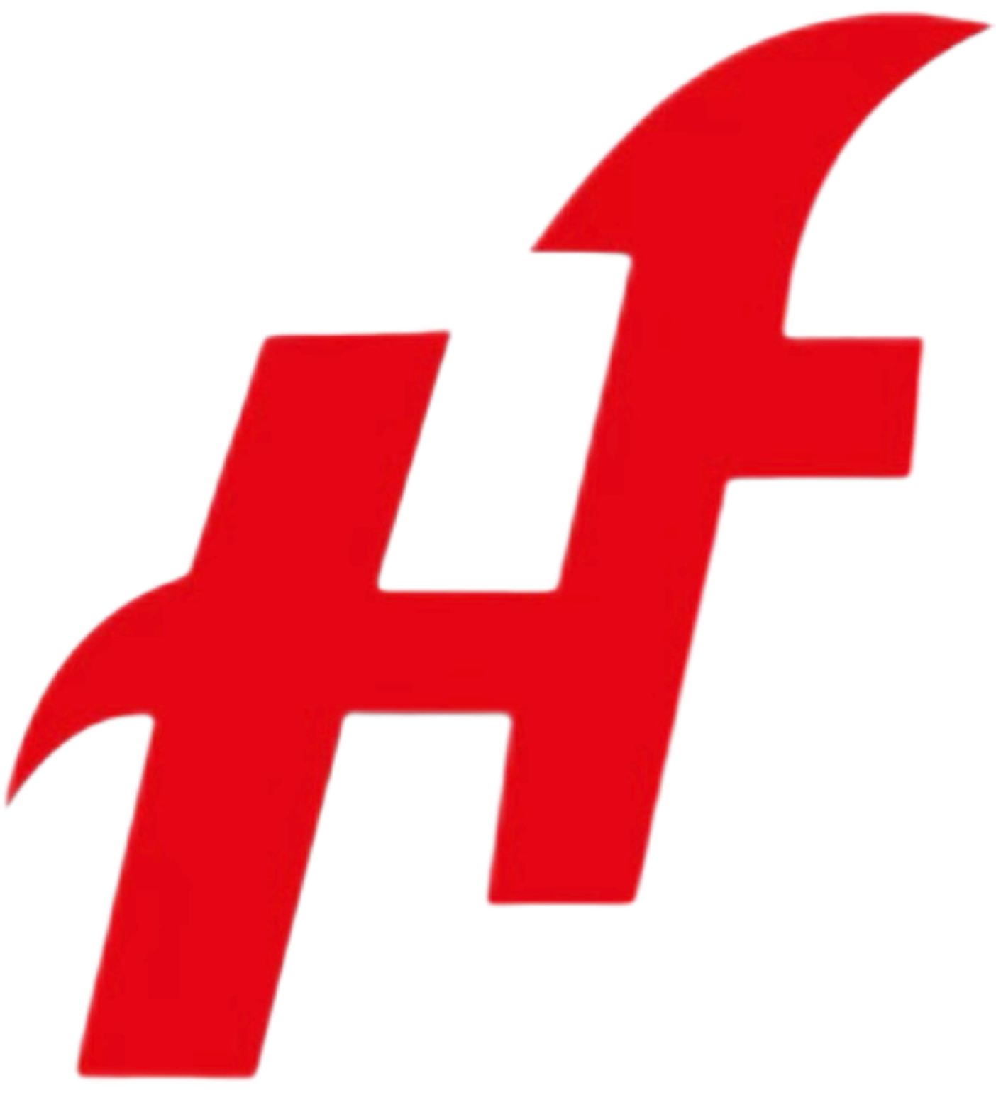 廣東宏順實業集團有限公司