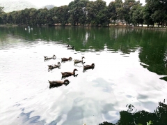 好家鄉(xiāng)自然風(fēng)景區(qū)