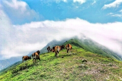 好家鄉(xiāng)自然風(fēng)景區(qū)