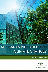 面对气候变化，银行准备好了吗？