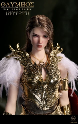 POP COSTUME The Star Chart Series Sagittarius Warrior Icarti POP COSTUME The Star Chart Series Sagittarius Warrior Icarti