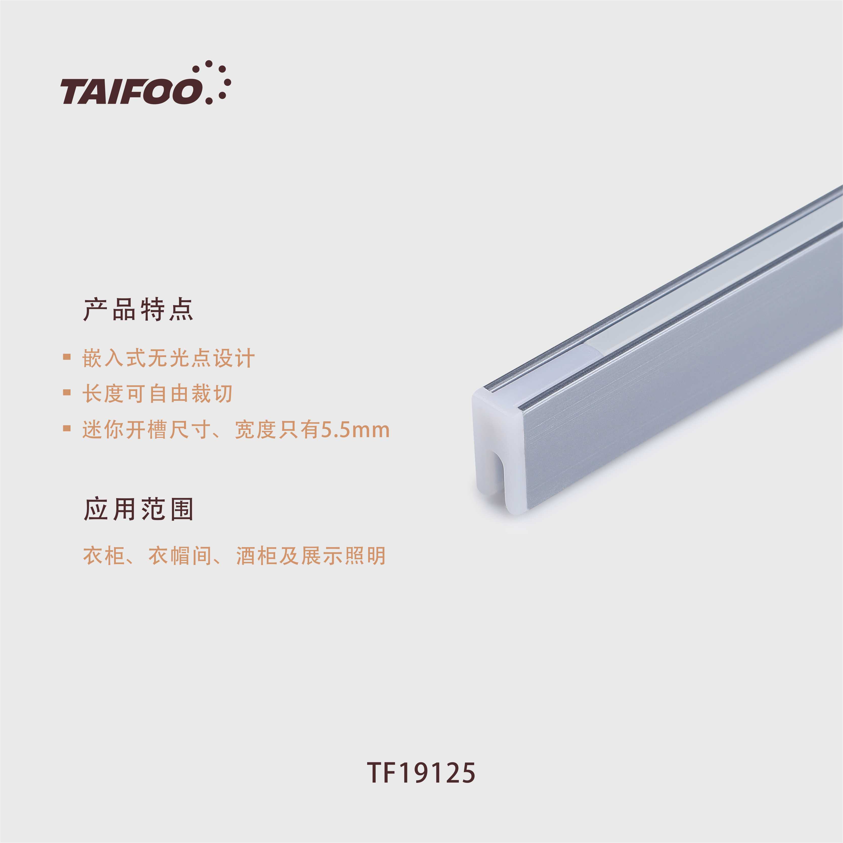 TF19125 迷你嵌入式灯