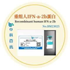 重组人IFN-a-2b蛋白Recombinant human IFN-a-2b