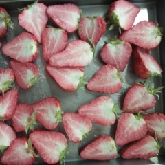 Freeze-dried Strawberry