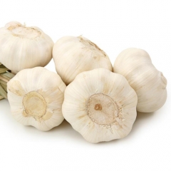 Freeze-dried Garlic