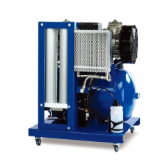 VT250/VT250D/VTS250D-Oil Free-Air Compressor