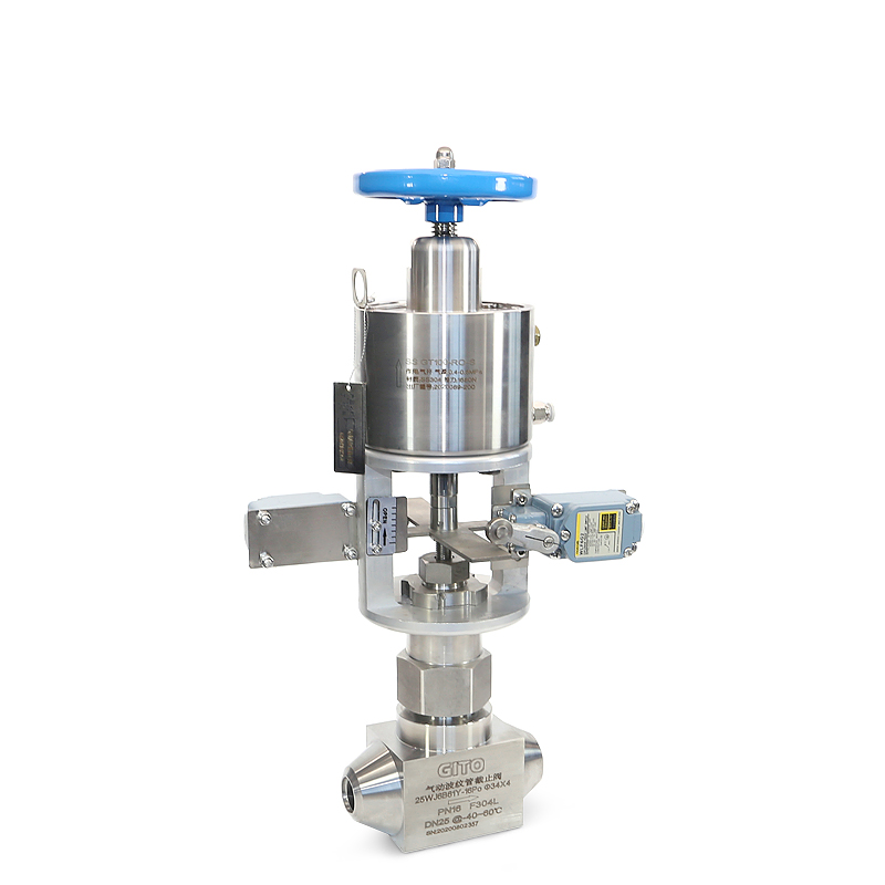 Pneumatic bellows globe valve/needle valve
