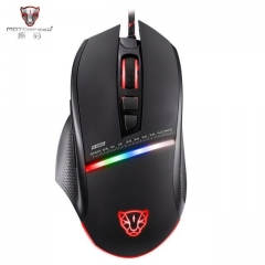 V10 mouse