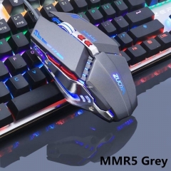 MMR5 Silver gray