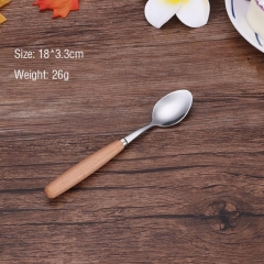 Sharp Spoon M