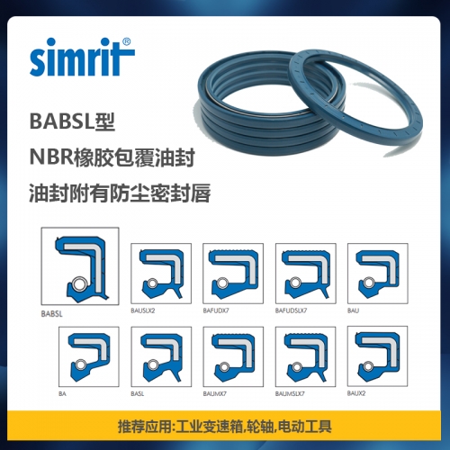 Simrit BABSL NBR 附有防尘唇骨架油封