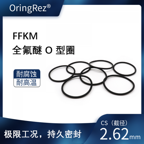 O型圈 截面直径2.62mm 全氟醚橡胶 黑色 75ShoreA QF7528