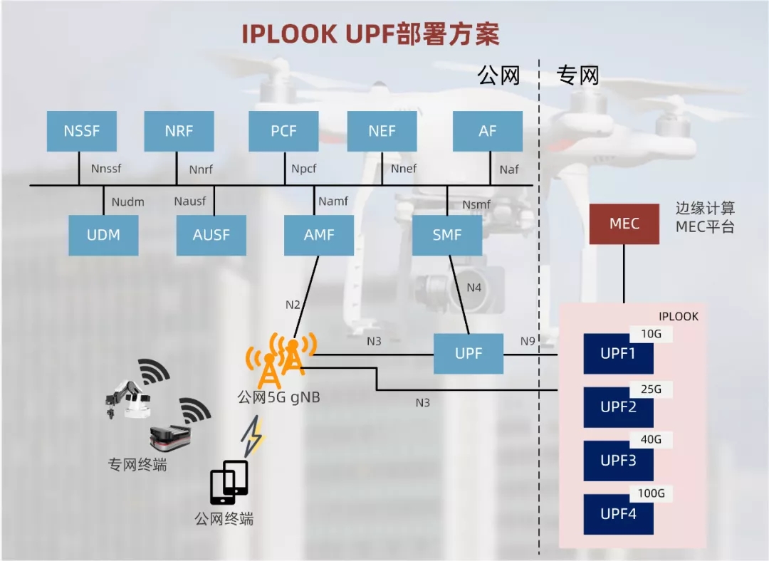 IPLOOK  5G UPF部署方案