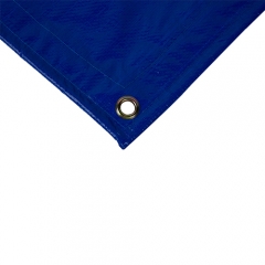 Blue and Silver Each Side PE Tarp For Construction Cover