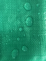 Green PE Tarp For Construction Cover