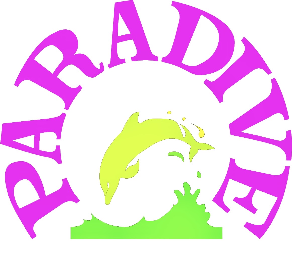 Paradive International Ltd