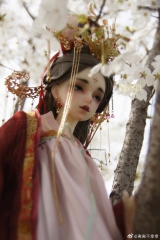 《春和景明》离离不拿拿 【洛神】