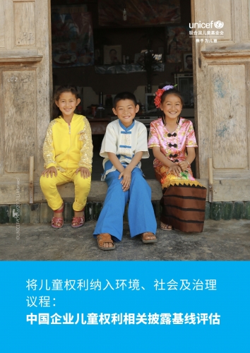 A Baseline Assessment of Child Rights Disclosure in China