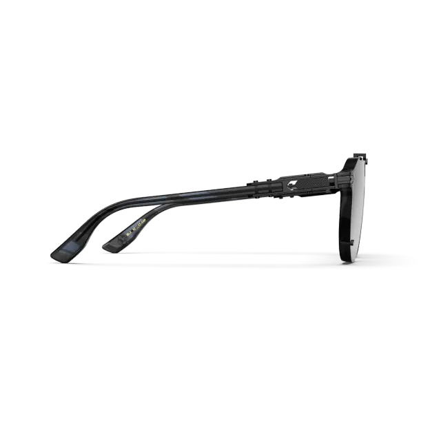 太阳镜 / 企业家 - 黑色