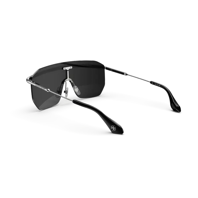 太阳镜 / Bizster - 银色