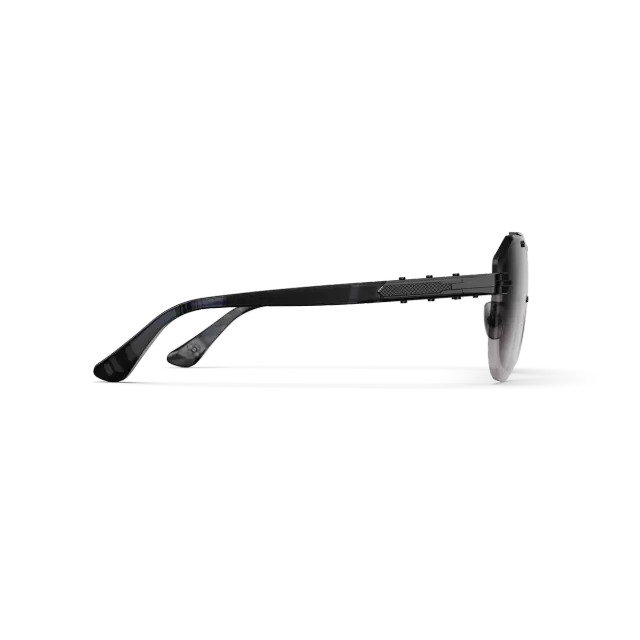 太阳镜 / Bizster - 黑色