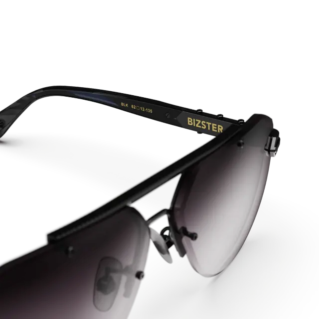 太阳镜 / Bizster - 黑色
