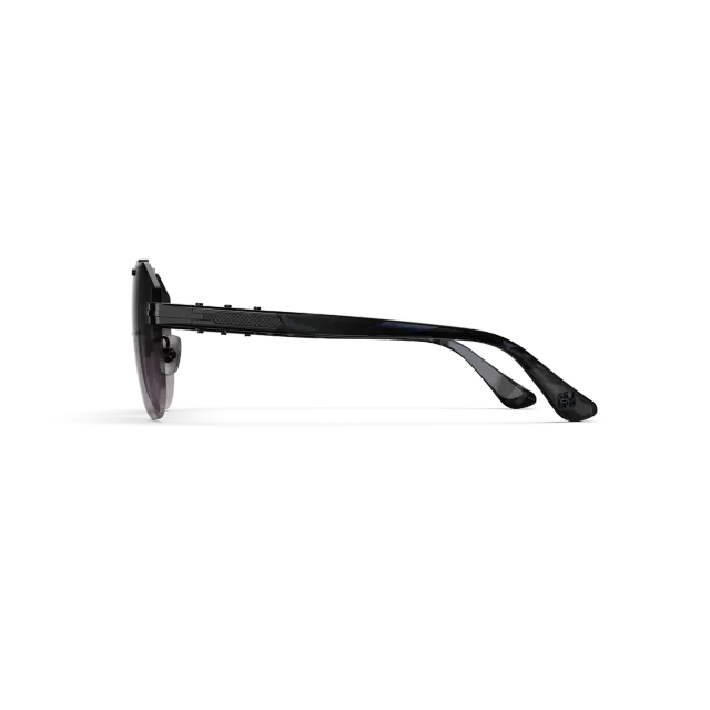 太阳镜 / Bizster - 黑色