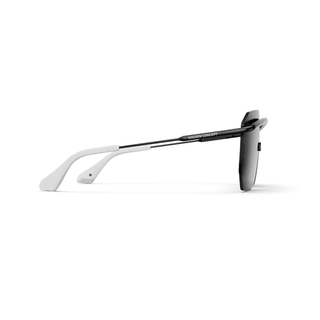 太阳镜 / Bizster - 黑色