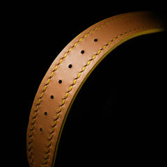 维瑞亚蜥蜴皮皮表带适用于百达翡丽星空6102（灯笼扣款）