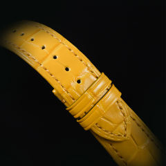 维瑞亚美洲鳄鱼皮表带适用于百达翡丽星空6102