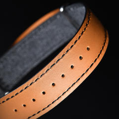 维瑞亚VAGENARI帆布NATO表带20mm