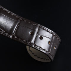 维瑞亚鳄鱼皮表带适用于欧米茄蝶飞41mm Hour Vision