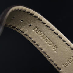 维瑞亚鳄鱼皮表带适用于欧米茄蝶飞41mm Hour Vision