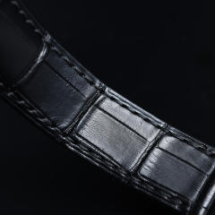 维瑞亚鳄鱼皮表带适用于欧米茄蝶飞41mm Hour Vision