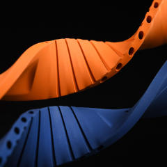 【升级版】维瑞亚橡胶表带使用迪通拿16519 116519 116518 116589