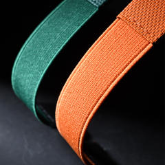 维瑞亚弹力带表带适用于理查德米勒RM067-02