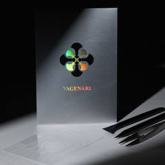 维瑞亚手表保护膜适用于AP 15551ST
