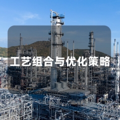 工艺组合与优化策略