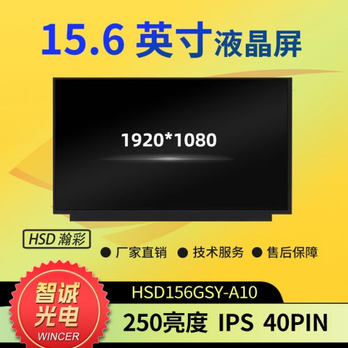 15.6-Inch LCD 1920*1080 HSD156GSY-A10