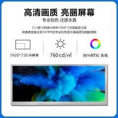 12.3 Inch LCD 1920*720 C123HAN06.0