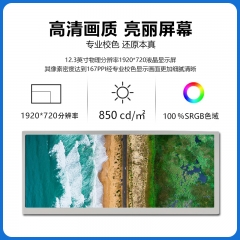 12.3 Inch LCD 1920*720