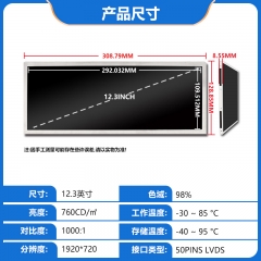 12.3 Inch LCD 1920*720 C123HAN06.0