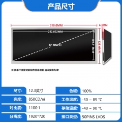 12.3 Inch LCD 1920*720