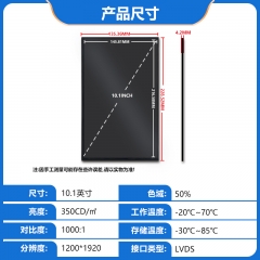 10.1寸 液晶显示屏 1200*1920 ZC101FH0