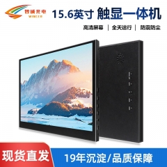15.6-inch portable display 1920 * 1080 full angle LCD screen ZC156IA02-ZC [250 brightness]