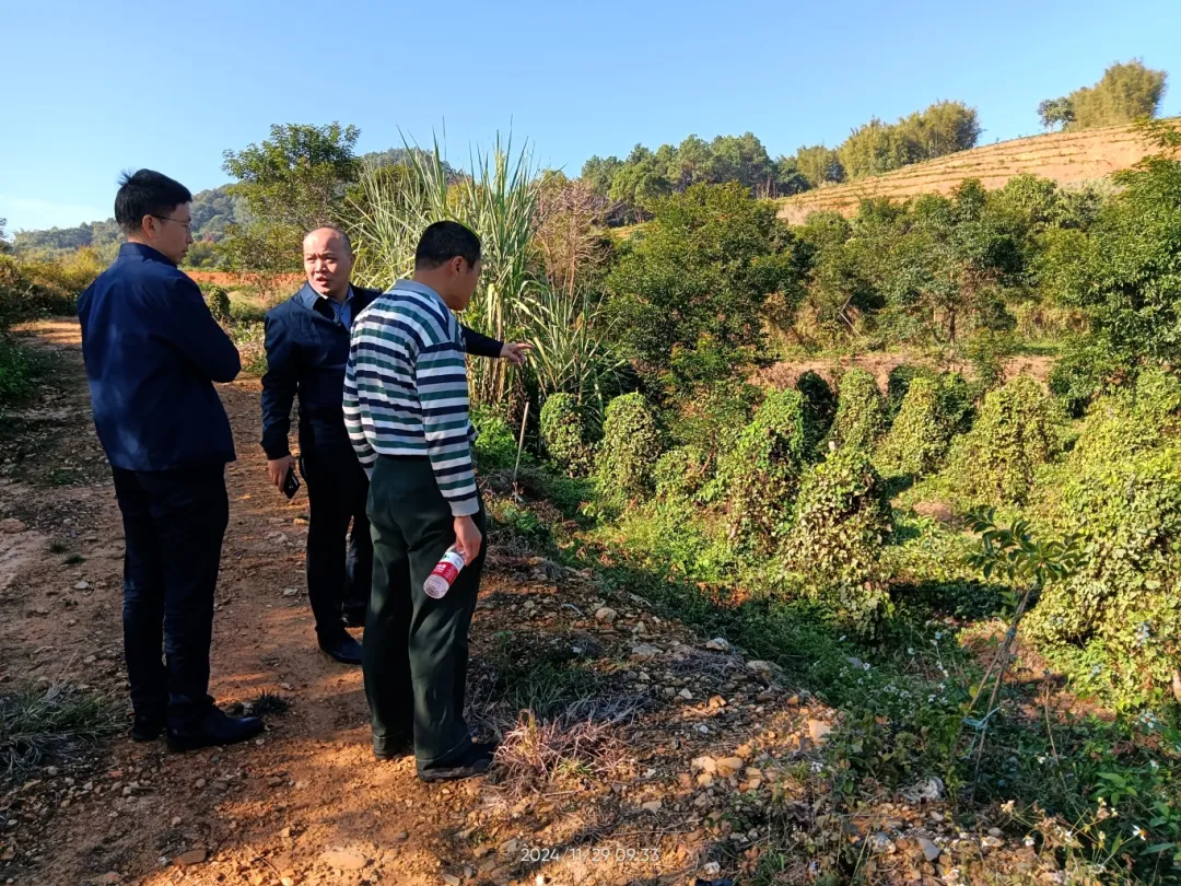 中大南药赴肇庆考察学习