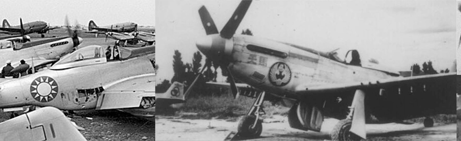 1/72 中国空军 P-51D "野马"战斗机 1949年, 中国空军第4大队21中队, 郑永达中队长座机, 垂尾编号  P-14275 2192
