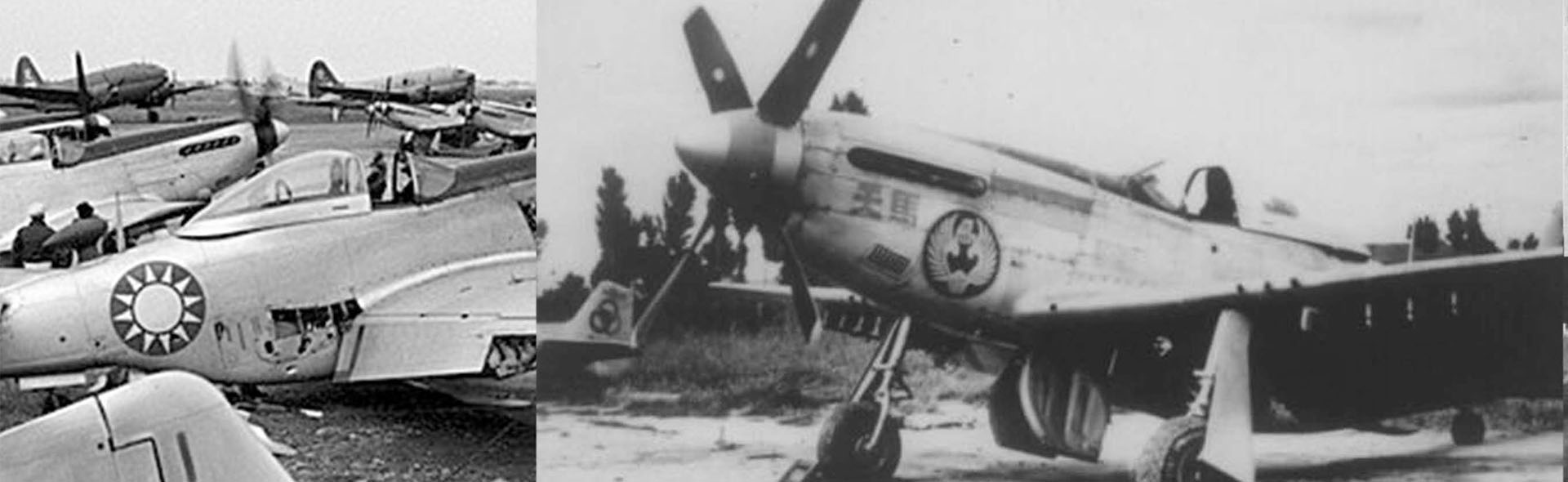 1/72 中国空军 P-51D "野马"战斗机 1949年, 中国空军第4大队, 徐华江大队长座机, 垂尾编号 P-14369 2199